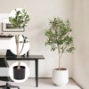 Gulches 59in Artificial Olive Tree in Pot Green Plastic Leaves Removable Trunk Indoor Home Office Decor No Maintenance - 4 of 4