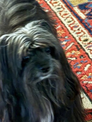 Guest review image 2 of 3, zoom in