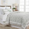 8pc Queen Printed Floral With Border 8pc Comforter Set Green ...