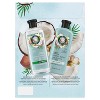 Herbal Essences Classic Hydrate - Coconut Water Dual pack - 13.5 fl oz each - 2 of 4