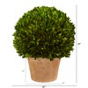 Nearly Natural 15-in Boxwood Ball Preserved Plant in Planter - 2 of 3