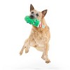 BARK Howly Jowly Holidays Jolly Old St. Pick Food Shaped Plush Dog Toy - 4 of 4