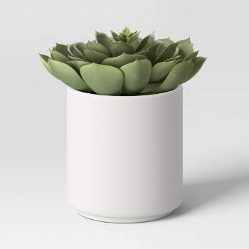 Artificial Single Succulent Plant Sage Green - Threshold™