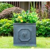 12.6" Kante Lightweight Classic Square English Style Lion Head Concrete Planter Antique Gray - Rosemead Home & Garden, Inc. - 3 of 4