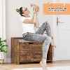 Cat Litter Box Enclosure with top opening and cushion. Modern wood design hides litter box and doubles as a nightstand with scratch pad. - 4 of 4