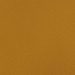 florida a&m rattlers