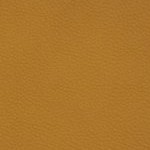 florida a&m rattlers