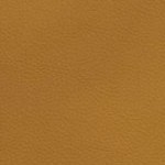 florida a&m rattlers