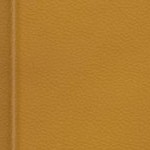 florida a&m rattlers