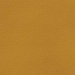 florida a&m rattlers