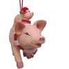 Kurt Adler Resin Ornament for Christmas Tree, Pig and Piglet - 3 of 4