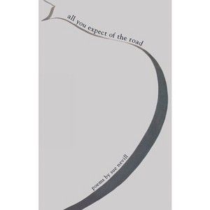 All You Expect of the Road - by  Sue Nevill (Paperback) - 1 of 1