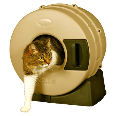 covered cat box