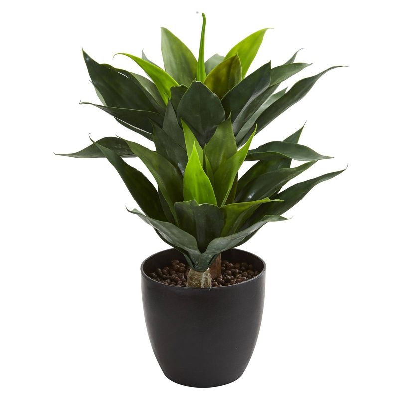 21&#34; x 16&#34; Artificial Agave Plant in Decorative Pot Black - Nearly Natural, 1 of 5