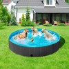 Yaheetech Foldable Pet Swimming Pool for Cats and Dogs - 2 of 4
