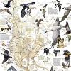National Geographic Bird Migration, Western Hemisphere Map, Laminated, 20.25" x 31.25" - 2 of 3