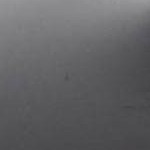 Gray Noise/Black