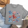 Simply Sage Market Patriotic Balloon Animal Chart Garment Dyed Tee - 3 of 4