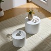 19.17"/15.24" MDF Round Nesting Coffee Table Set with Space-Saving Design and Durable Waterproof Top for Living Room - 4 of 4