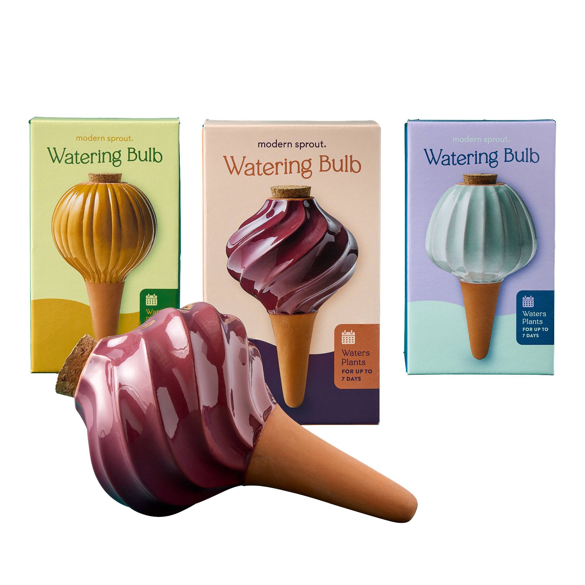 Modern Sprout Terracotta Watering Bulb