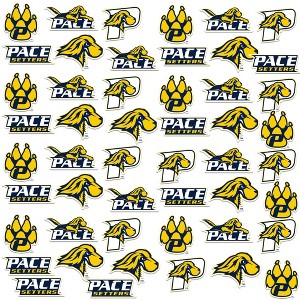 Pace University Spirit Logos 50Ct Sticker Pack Miscellaneous 50 Ct. Sticker Pack - 1 of 4