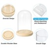 Unique Bargains Wooden Base Plants Home Decor Glass Bell Jar Display Case - 3 of 4