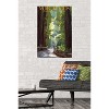 Trends International Lantern Press - Muir Woods Pathway Unframed Wall Poster Prints - 2 of 4