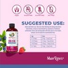 Vegan Liquid Iron, Berry, 16 fl oz - 3 of 4