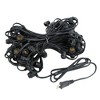 Novelty Lights Globe Outdoor String Lights with 80 In-Line Sockets Black Wire 100 Feet - 4 of 4