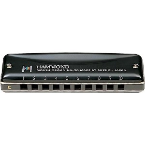 Suzuki Promaster Hammond Harmonica - 1 of 2