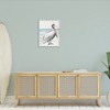 Stupell Industries Rustic Pelican on Shoreline Framed Giclee Art - 3 of 4