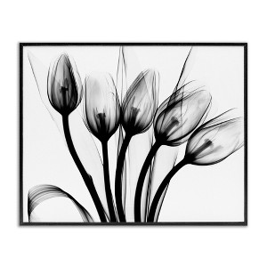 Stupell Industries Modern Tulip Blossom Abstract Monochrome Silhouette Photography, 16" x 20" - 1 of 4