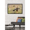 Trends International The Comedy Wildlife Photography Awards: Wendy Kaveney - That Wasn't Here Yesterday Framed Wall Poster Prints - 2 of 4