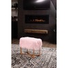 BirdRock Home Rectangular Pink Faux Fur Foot Stool Ottoman with Gold Legs - 3 of 4