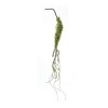 Moss Foliage Vine Branch (Set of 2) - 4 of 4