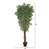 Nearly Natural 70-in Variegated Ficus Artificial Tree UV Resistant (Indoor/Outdoor) - 2 of 3