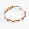 Alex and Ani Rainbow In-Line Stone Bangle - 3 of 3