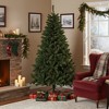 Northlight Full Canadian Pine Artificial Christmas Tree - 6' - Unlit - 3 of 4