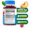 Lifeable - Sugar Free - Sambucus Elderberry + Vitamin C and Zinc - Adults -  60 Gummies - 2 of 4