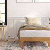 Amalia Solid Wooden Platform Bed with Wooden Support Slats - Taylor & Logan - 3 of 4