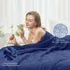 Inhand Weighted Blanket (Queen 60"x80") - Cooling Heavy Blanket with Glass Beads - All-Season Breathable Soft Comfort Microfiber Blanket - 3 of 4