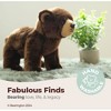 Bearington Grizby The Brown Bear 13 Inches Tall, Realistic Plush Ultra-Soft Stuffed Animal Toy - 2 of 4