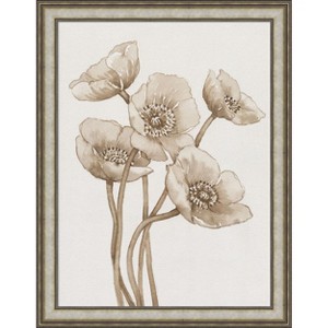 Amanti Art Poppies in Sepia II by Tim Otoole Wood Framed Wall Art Print - 1 of 4