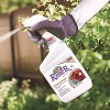 Captain Jack's Rose Rx Disease and Insect Control, Liquid, Ready-to-Use - 32 fl oz - 2 of 4