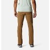 MEN'S STANDARD BASIN TREK PANT - Mountain Hardwear - 3 of 4