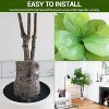 Artificial Fiddle Leaf Fig Tree – Realistic Faux Ficus Lyrata in Pot for Indoor/Outdoor Home/Office/Restaurant Decor - 3 of 4