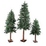Northlight 3pc Set of 3', 4', 5' Unlit Artificial Christmas Trees Woodland Alpine
