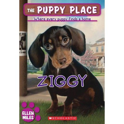 Ziggy - (Puppy Place) by  Ellen Miles (Paperback)