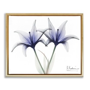 Stupell Industries X-Ray Lily Flowers Black Framed Floater Canvas Wall Art - 1 of 4