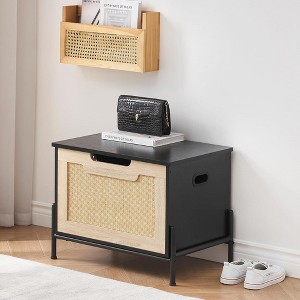 Rattan Storage Bench with Seat Cushion for Entryway, Living Room, Bedroom, Black - 1 of 1